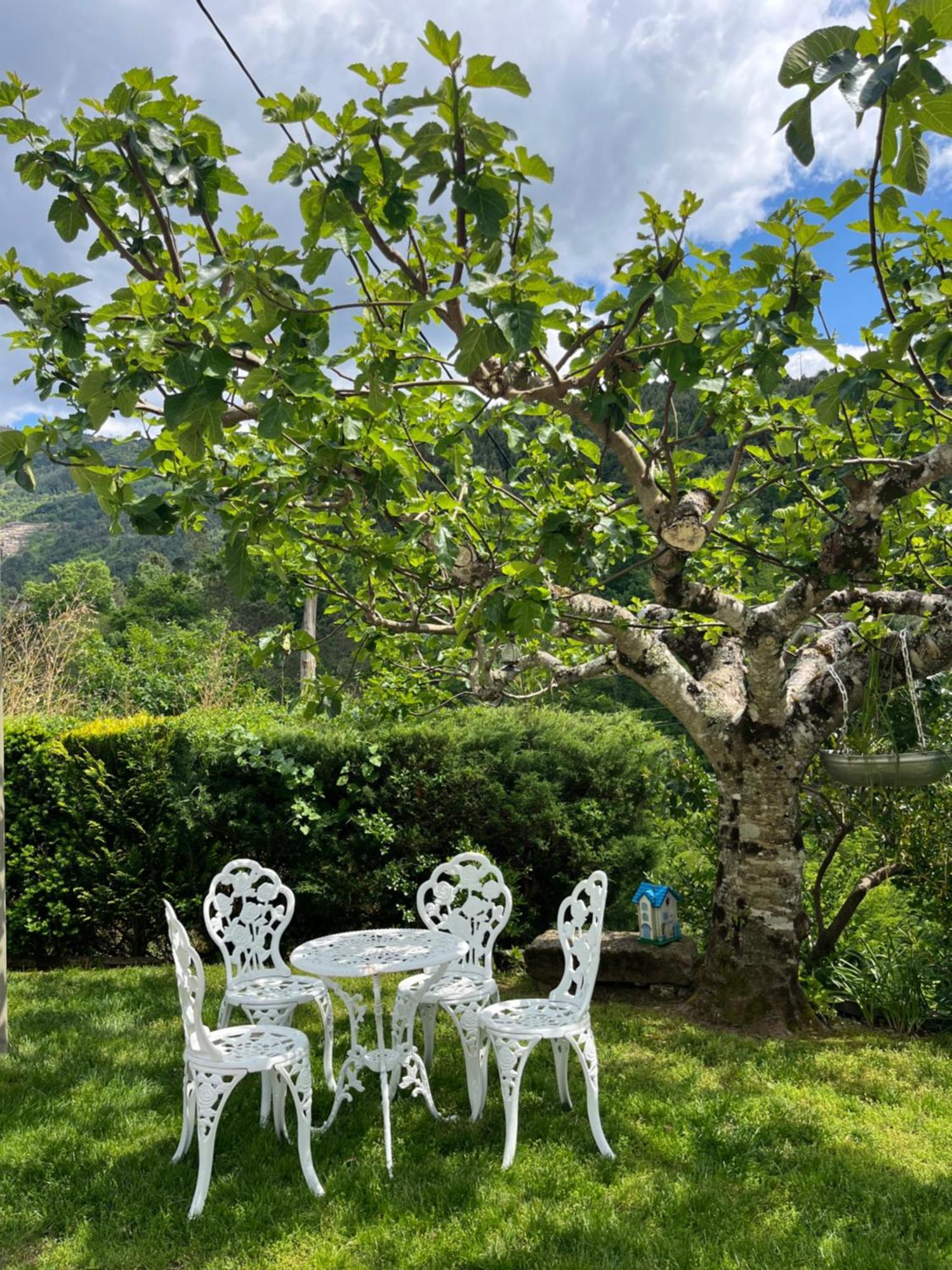 Casa Da Ribeira Do Cirio Guest House Seia Luaran gambar